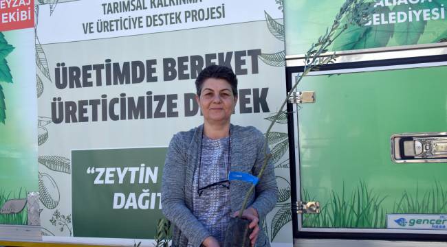 Zeytin Fidanları Üreticiyle Buluştu