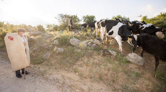 Meraları üreticiye bıraksınlar