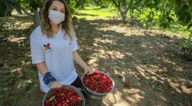 Üreticinin ürünü dalında kalmayacak