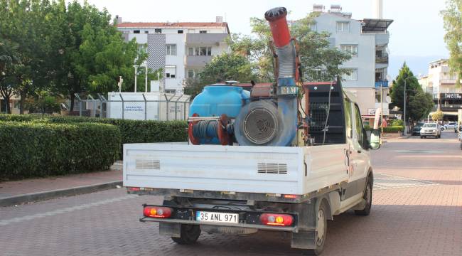 Kemalpaşa’da Sinekle Yoğun Mücadele