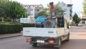 Kemalpaşa’da Sinekle Yoğun Mücadele