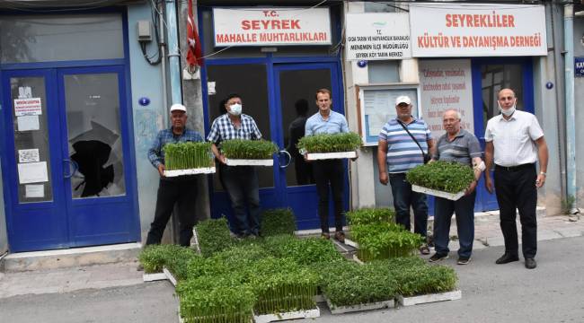 Menemen’de yerli tohumlar toprakla buluştu