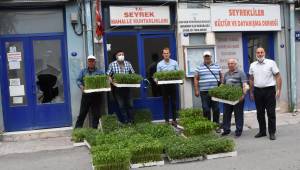 Menemen’de yerli tohumlar toprakla buluştu