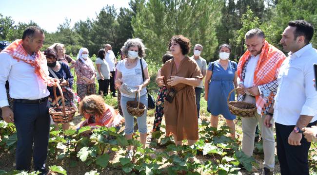 Bornova’da ilk bamya hasadı Soyer’den