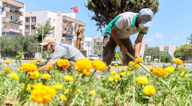 Buca’nın parklarına 60 bin çiçek 