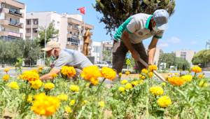 Buca’nın parklarına 60 bin çiçek 