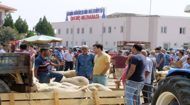 Ödemiş'te kurban satış ve kesim yerleri belli oldu