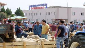 Ödemiş'te kurban satış ve kesim yerleri belli oldu