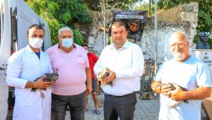 Seferihisar’da Türkiye'ye örnek bir hayvancılık projesi