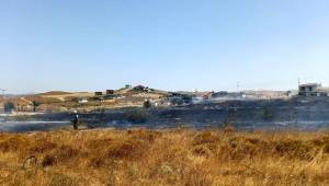  İzmir İtfaiyesi 28 orman yangınını büyümeden söndürdü