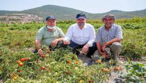 Menemen’de Tarla Günü etkinliği