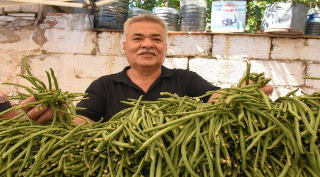 Torbalı, ‘Börülce’yi Festivalle Tanıttı