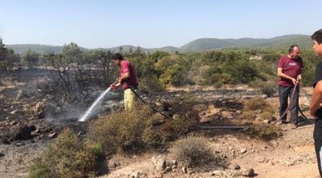 Urla Birgi çıkan yangın kısa sürede söndürüldü