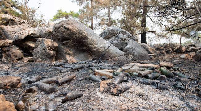 “Yangını kesmeseydik Bodrum’a kadar giderdi”