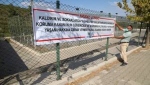 Gaziemir Belediyesi can dostların yaşam hakkına dikkat çekiyor