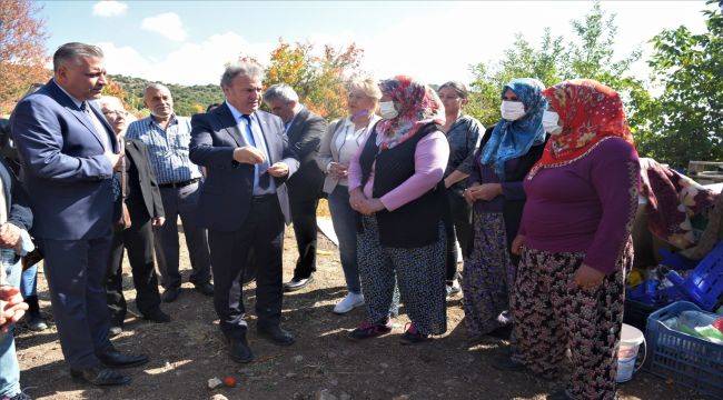 Bornova'dan “Zeytin Yetiştirme Teknikleri”