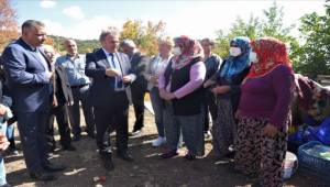 Bornova'dan “Zeytin Yetiştirme Teknikleri”