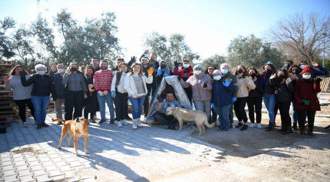 Bornova'da Sokak Hayvanları İçin Kulübe Yapıldı!