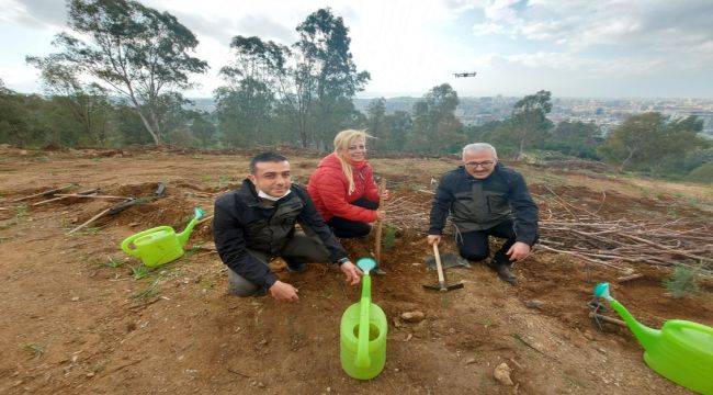 Gazeteciler Yanan Alanlara Fidan Dikti