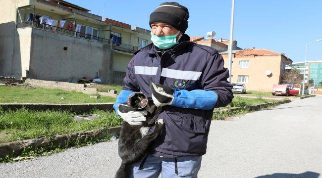 Gaziemir Veteriner Ekipleri Kediyi Ölümden Kurtardı