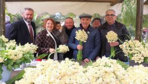 Karaburun'da Nergis Festivali Başlıyor