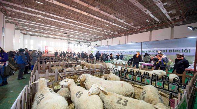 17. Agroexpo Tarım Fuarı İzmir'de Açıldı