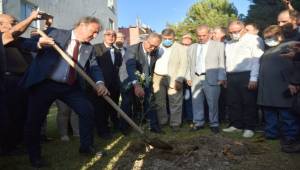 Bornova'nın Parkları Bahara Hazırlanıyor