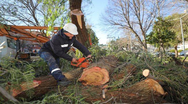 Gaziemir'de Atık Dallar Evleri Isıtacak