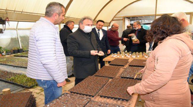 Bornova, Atalık Tohumları Türkiye'ye Dağıtıyor