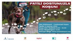 İzmir patili dostları unutmadı