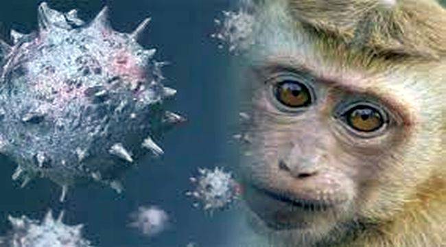 Maymun Çiçeği virüsü küçük çocukları fazla etkiliyor