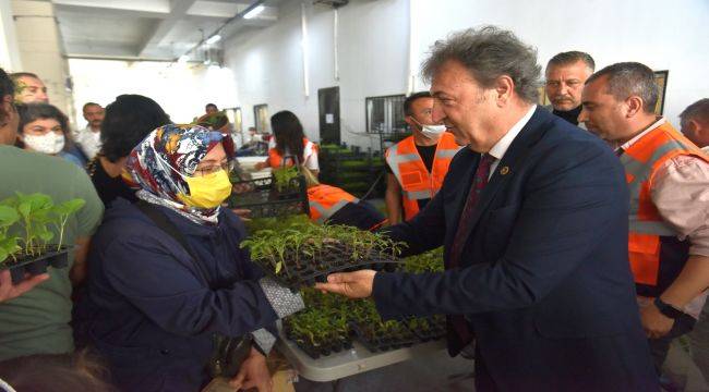 Bornovalılara  ücretsiz meyve fidanı