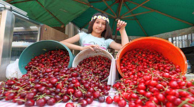 Buca’da Kiraz Festivali 