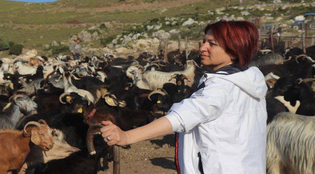 Karaburun'da Kırım Şenliği