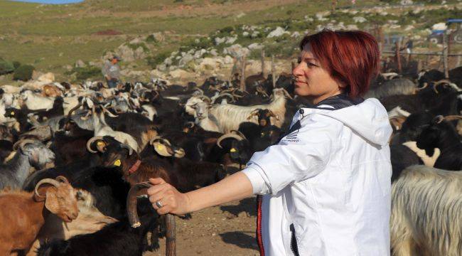 Karaburun'da Kırkım Şenliği