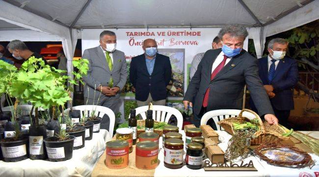 Bornova’da kınalı bamya hasadı