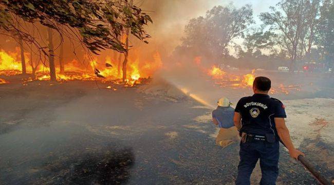  İzmir’in ormanlarını korumak için zabıta iş başında