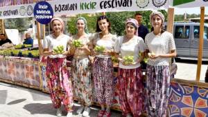 Bozalan İncir Festivali ile renklendi