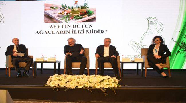 “Zeytin zeytinyağı ihracat destekleri %85 eridi”