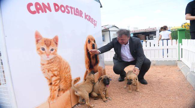 Bornova Belediyesi can dostlarına sahip çıkıyor