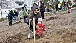 Bornova’da ağaçların sahibi var!