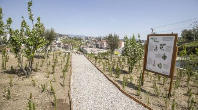 İzmir’e bir yılda 10 Buca Cezaevi kadar yeşil alan