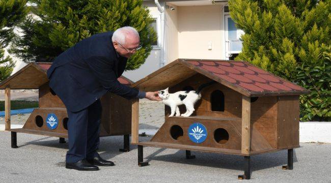 Karabağlar’ın 2023 yılı kedi evleri hazır