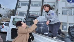 Karaburun’un deprem imecesi