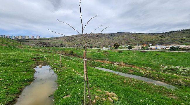 Karşıyaka Kent Ormanı’nda Örnek Uygulama