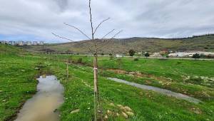 Karşıyaka Kent Ormanı’nda Örnek Uygulama