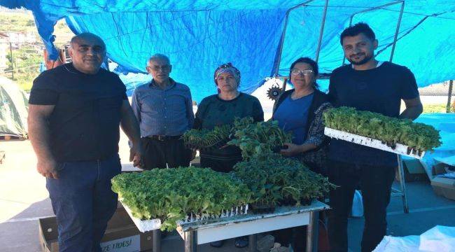 Bornova Belediyesi Hatay’a 60 bin sebze fidesi gönderdi 