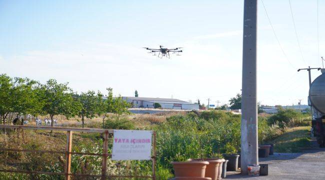 Ayvalık’ta dronların hedefinde sinekler var