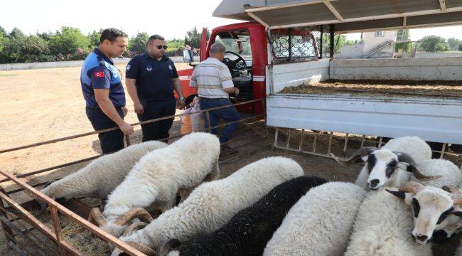 Menderes’te Kurban Denetimi