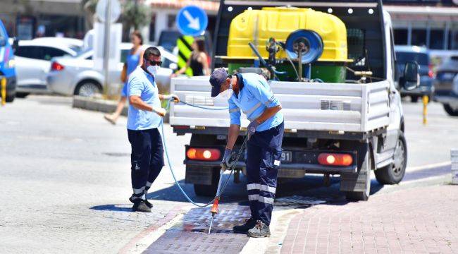 İklim krizi sivrisinek popülasyonunu artırdı